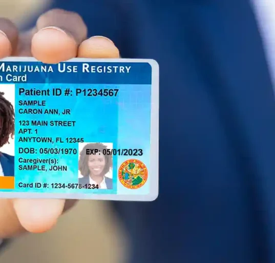 Florida medical marijuana card in 2024